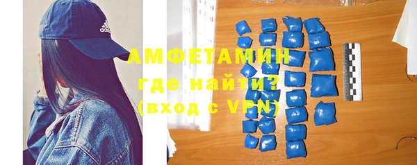 гидра Елизово
