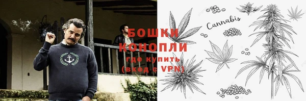 мдпв Ельня