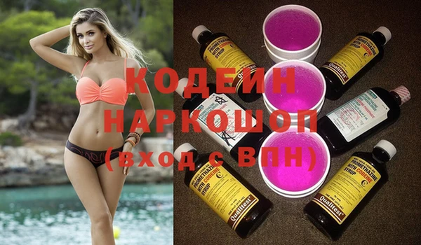 мдпв Ельня
