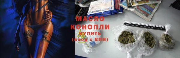 гидра Елизово
