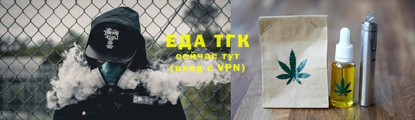 мдпв Ельня