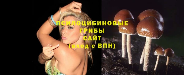 гидра Елизово