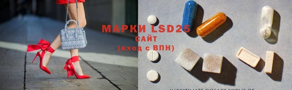 мдпв Ельня