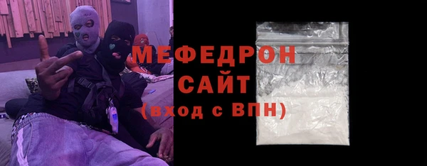 мдпв Ельня