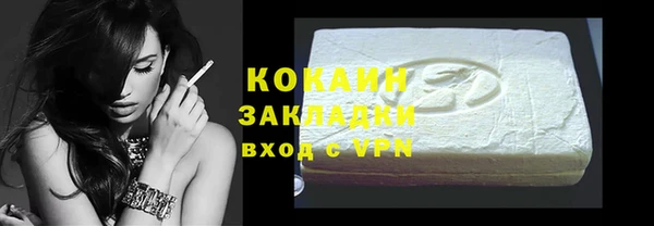 мдпв Ельня