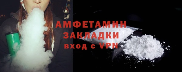 гидра Елизово