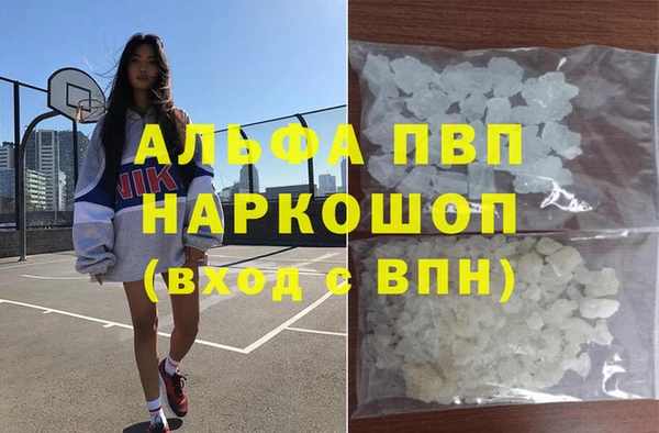 гидра Елизово