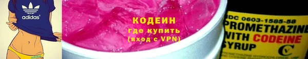 мдпв Ельня