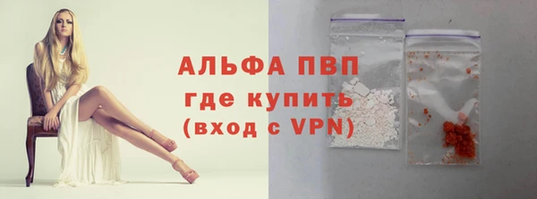 мдпв Ельня