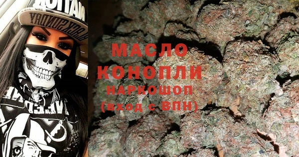 мдпв Ельня