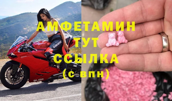 гидра Елизово