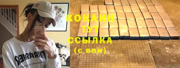 мдпв Ельня