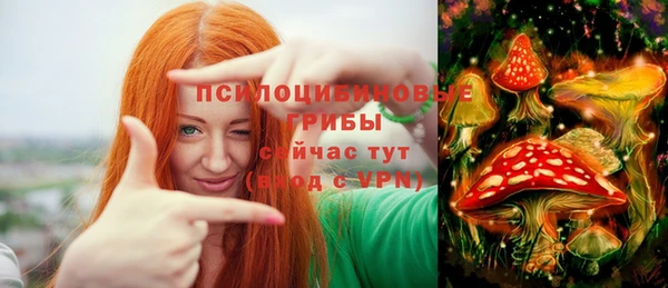 гидра Елизово