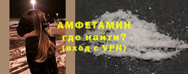 мдпв Ельня