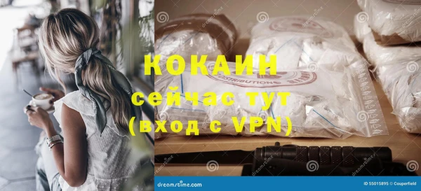 мдпв Ельня