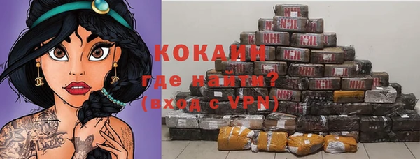 ГАЛЛЮЦИНОГЕННЫЕ ГРИБЫ Заволжье