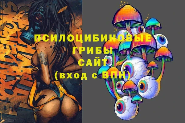 гидра Елизово