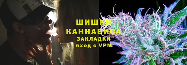 мдпв Ельня