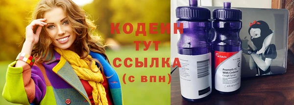 мдпв Ельня