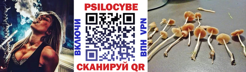 Купить  Кудымкар  Псилоцибиновые грибы Psilocybine cubensis 
